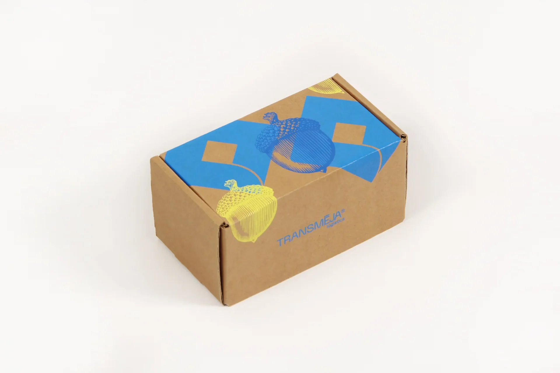 Naujoko rinkinio dėžutė Transmėja